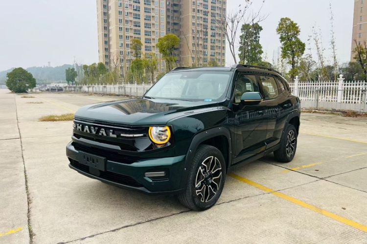 Used Haval H Dog New Energy 
