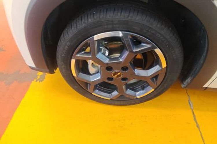 Used BYD Seagull 2025 305 km Free Version
