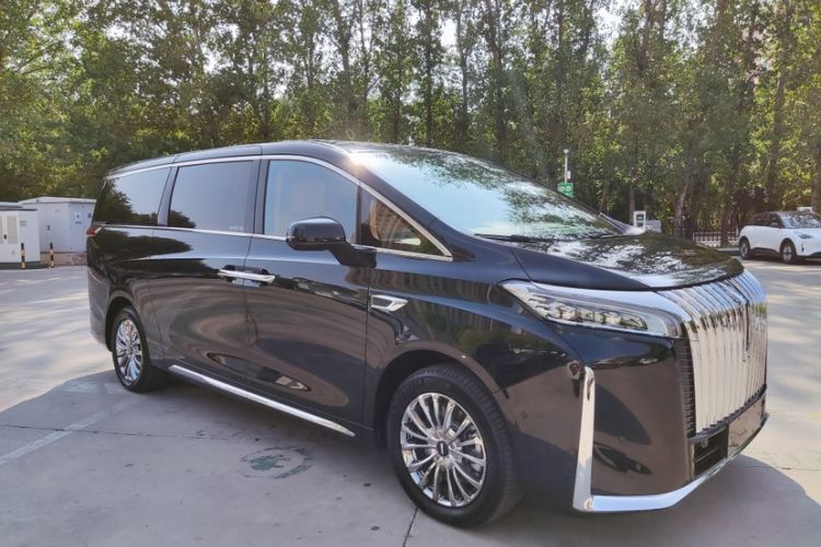 Used Wey Gaoshan 2023 Four-Wheel-Drive Executive Extended Version
