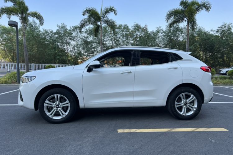 Used Wey VV5 2019 1.5T Two-Wheel Drive Smart Pioneer
