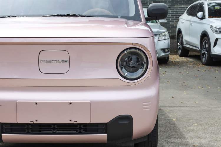 Used  Panda 2024 Panda Mini 200km Endurance Bear
