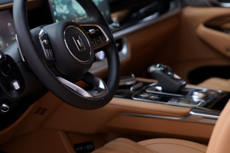 Used Tank 500 New Energy 2023 Hi4-T
