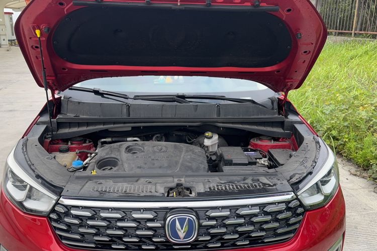 Used Changan CS55 2019 1.5T Manual Colorful Model China VI Standard
