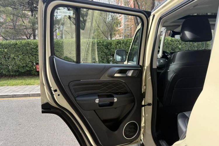 Used Tank 300 2025 2.0T Conqueror
