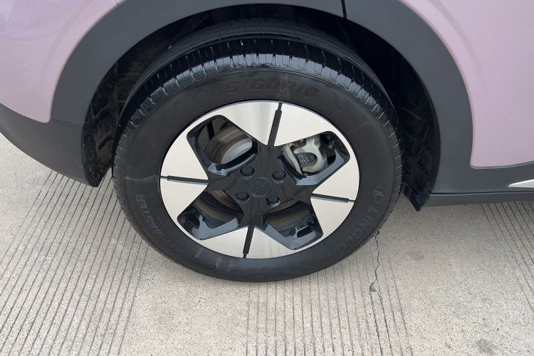 Used  Geome 2025 310km Dream Edition
