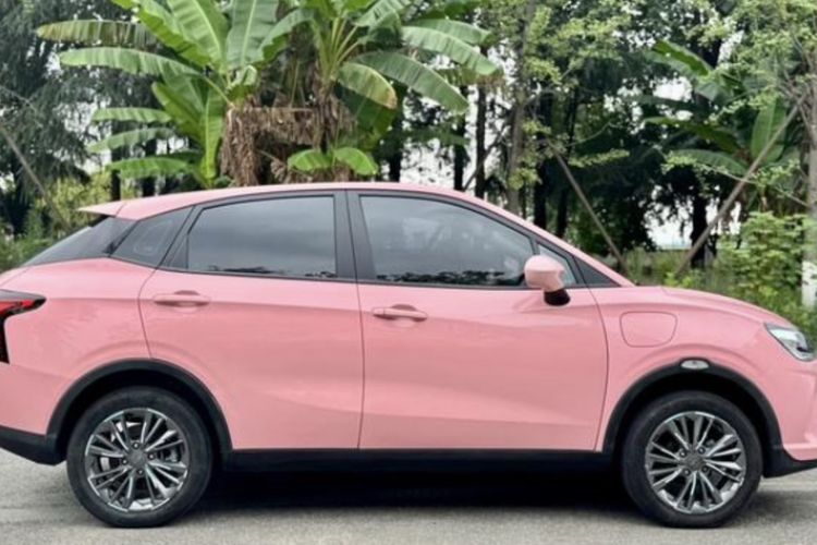 Used NETA V 2022 Chao 400 Lite Pink Custom Edition
