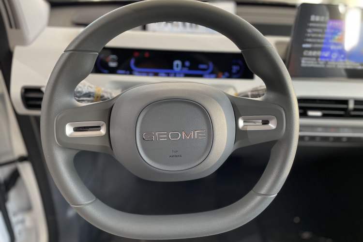 Used  Panda 2024 Panda Mini 200km Endurance Bear
