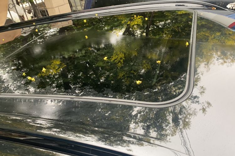 Used Hyundai Tucson 2023 Tucson L 1.5T Automatic Two-Wheel Drive LUX Prestige Edition