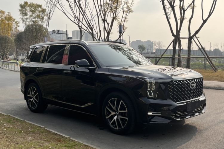 Used GAC Trumpchi GS8 2024 Linghang Series 2.0 TGDI Four-Wheel Drive Luxury Smart Connectivity Version
