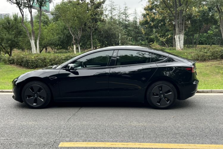 Used Tesla Model 3 2022 Rear-Wheel-Drive Version
