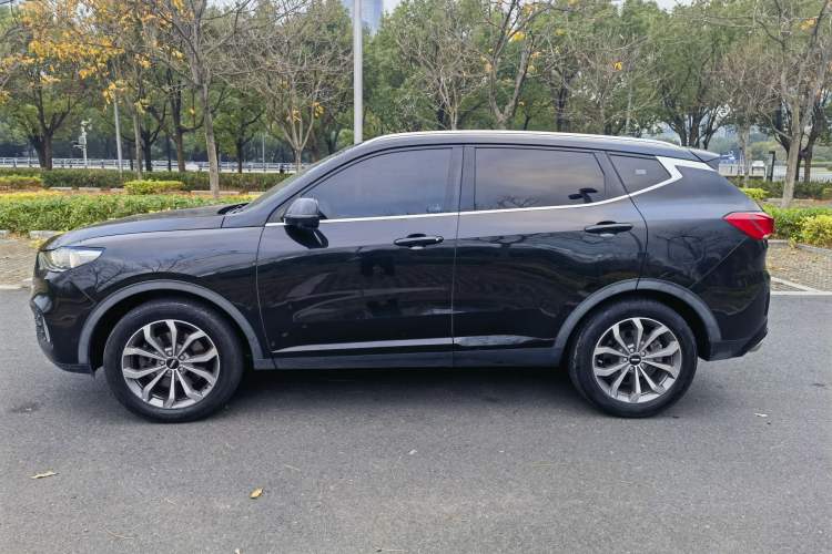 Used Wey VV6 2020 2.0T Two-Wheel Drive Smart Enjoyment+