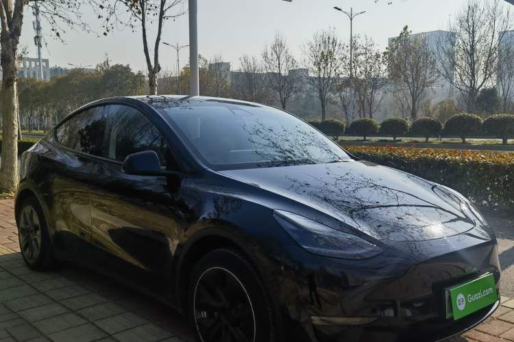 Used Tesla Model Y 2021 Standard Range Rear-Wheel Drive Version
