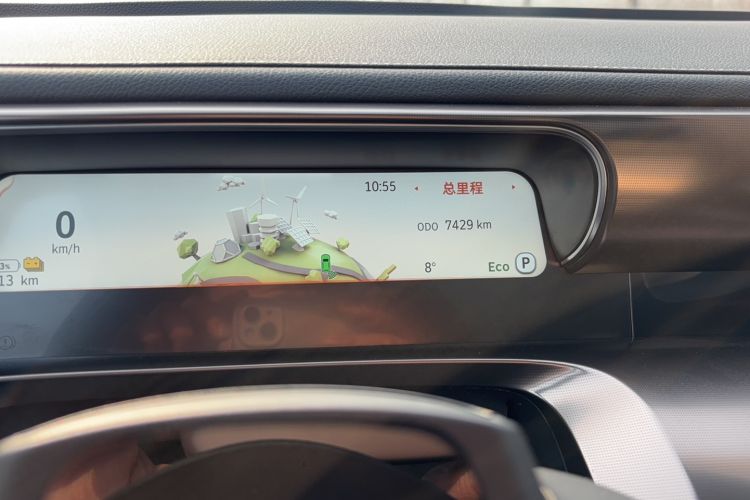 Used  #1 2022 Pulse Heartbeat Edition