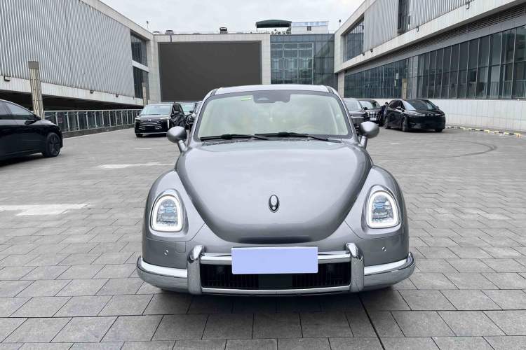 Used ORA Ballet Cat 2023 401 km Luxury Version
