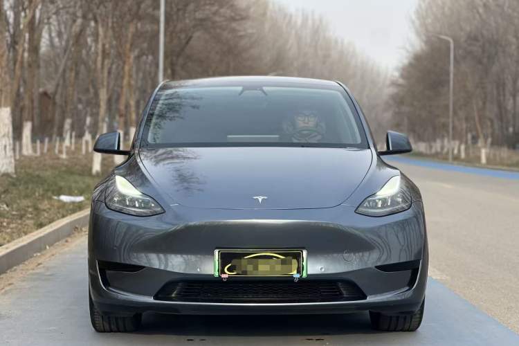 Used Tesla Model Y 2022 Rear-Wheel-Drive Version