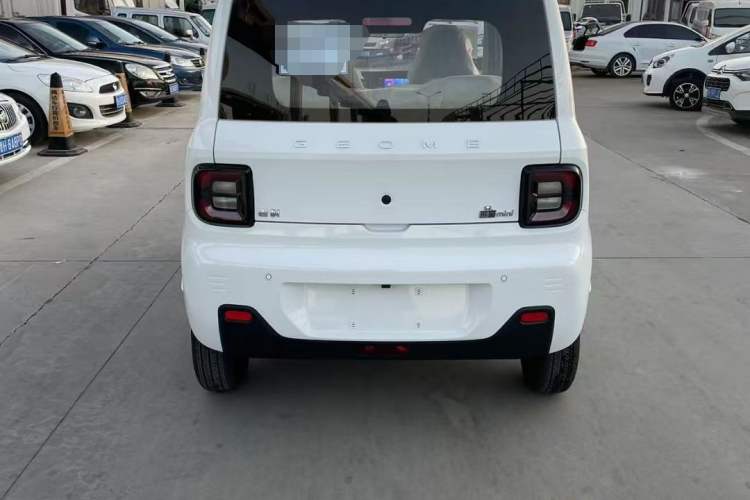 Used  Panda 2024 Panda Mini 200km Endurance Bear
