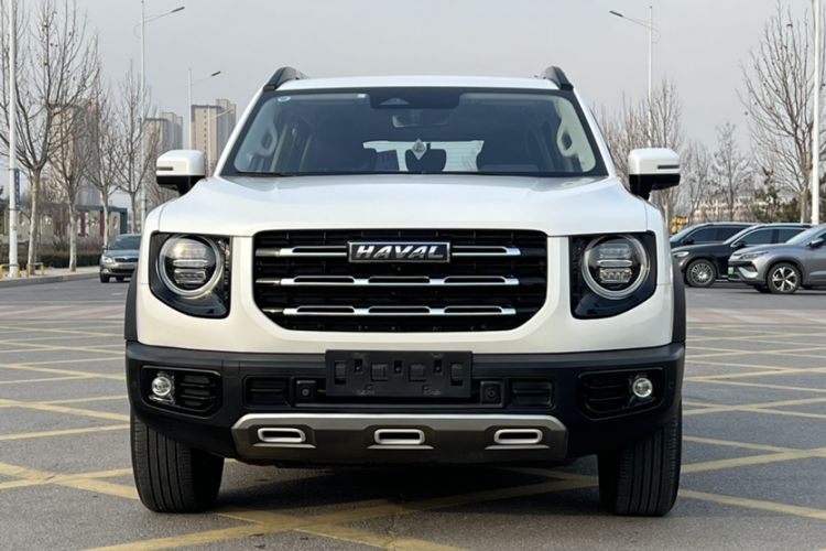 Used Haval DARGO 2021 2.0T DCT 4x4 Chinese Rural Dog Edition
