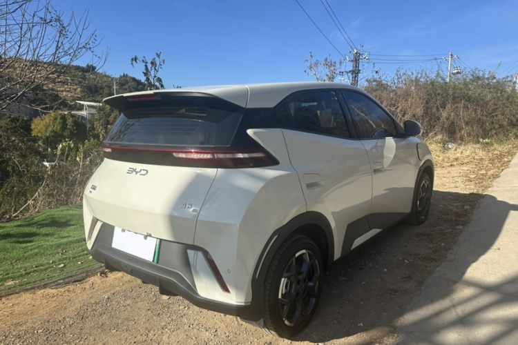 Used BYD Seagull 2025 305 km Free Version
