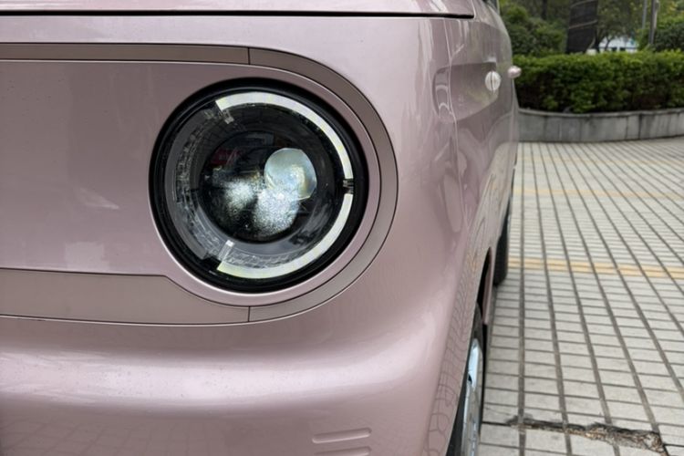 Used  Panda 2023 Panda Mini 200km Endurance Bear
