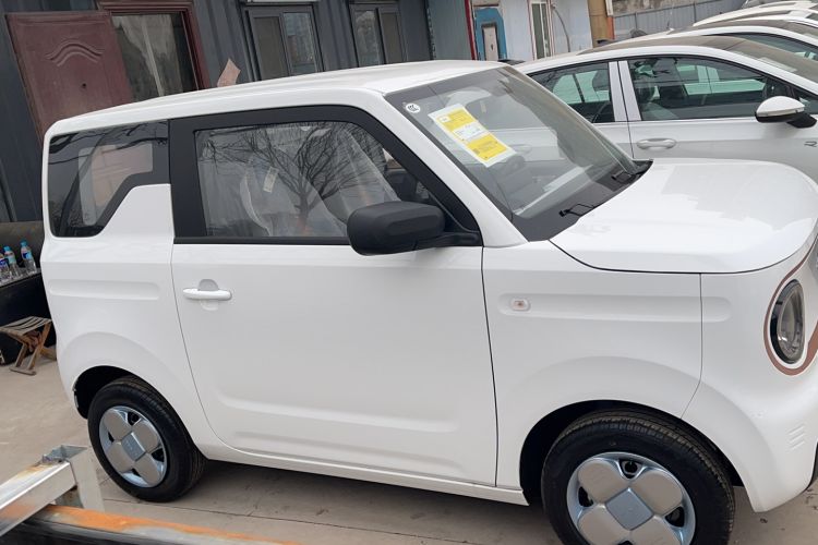 Used  Panda 2024 Panda Mini 200km Endurance Bear
