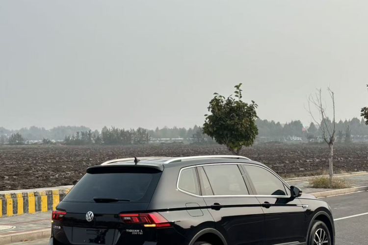 Used Volkswagen Tiguan L 2018 330TSI Automatic Two-Wheel Drive Luxury Edition
