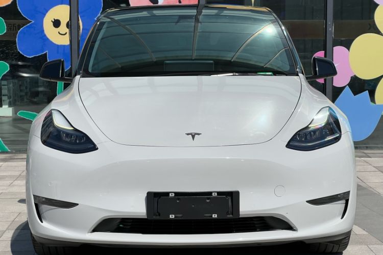 Used Tesla Model Y 2021 Standard Range Rear-Wheel Drive Version
