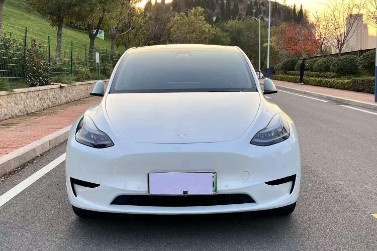 Used Tesla Model Y 2022 Rear-Wheel-Drive Version
