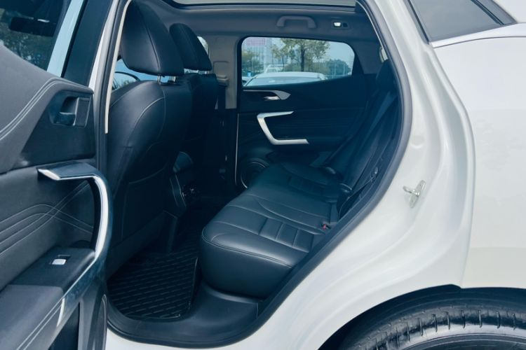 Used Wey VV5 2020 1.5T Two-Wheel Drive Color Pioneer