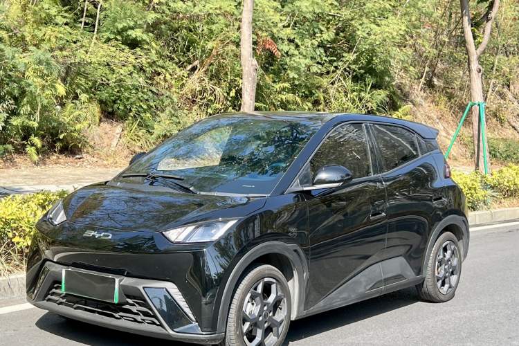 Used BYD Seagull 2025 405 km Flying Edition