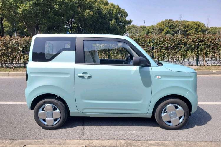 Used  Panda 2024 Panda Mini 200km Endurance Bear
