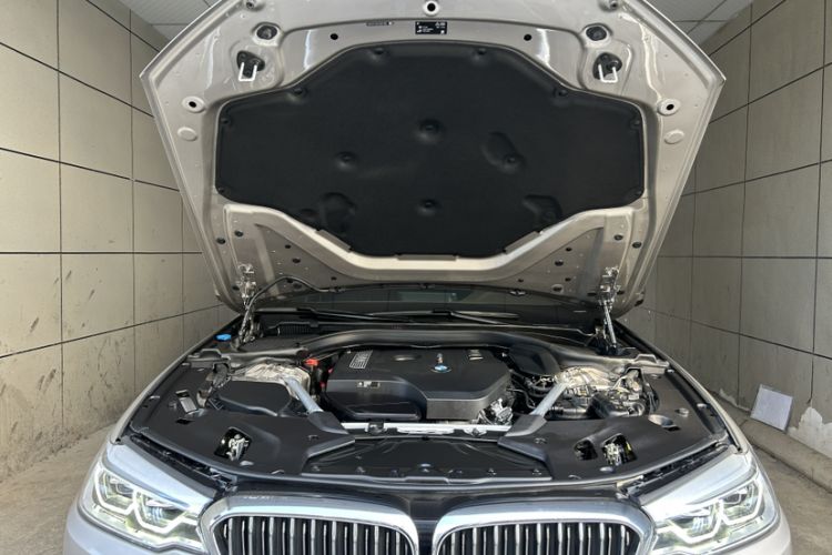 Used BMW 5 Series 2020 530Li Leading Edition Luxury Package
