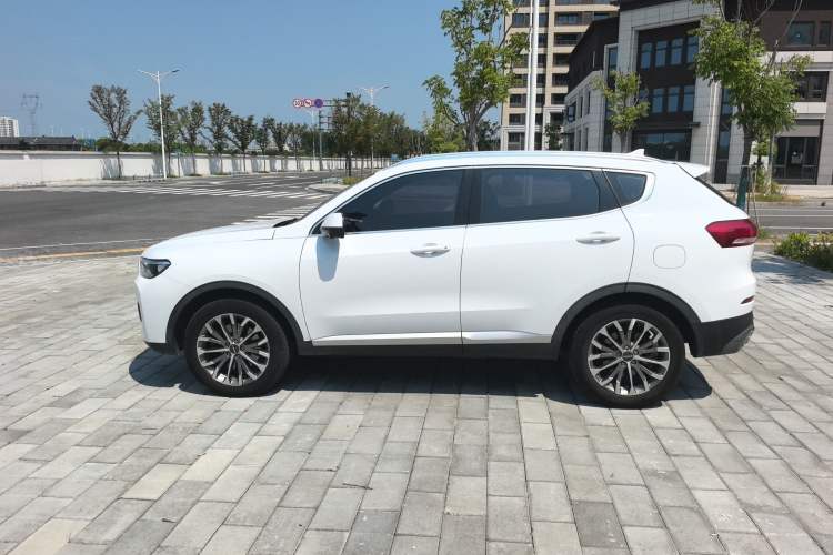 Used Haval H6 2020 1.5 GDIT Automatic Platinum Champion Edition