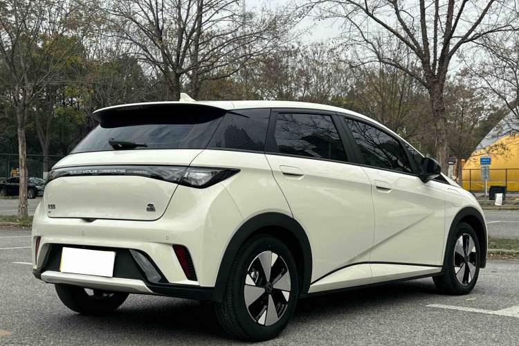 Used BYD Dolphin 2023 420 km Fashion Edition
