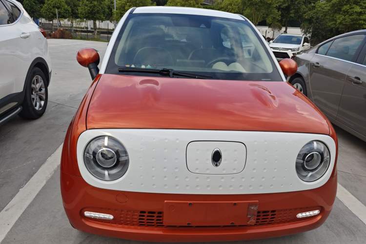 Used ORA Black Cat 2021 351 km Luxury Version
