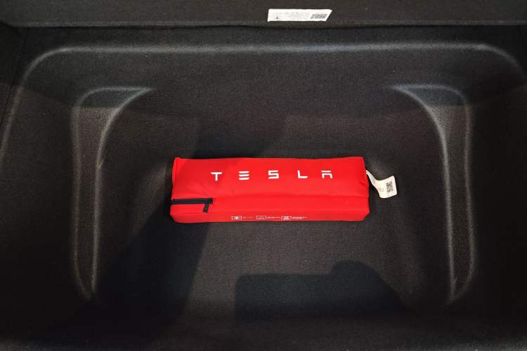 Used Tesla Model Y 2021 Standard Range Rear-Wheel Drive Version
