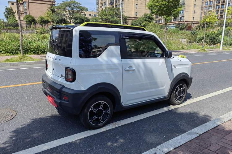 Used  Panda 2024 200km Panda Rider
