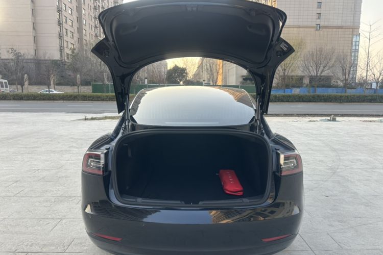 Used Tesla Model 3 2020 Revised Version Standard Range Rear-Wheel Drive – Upgraded Edition
