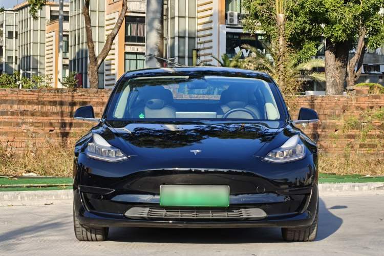 Used Tesla Model 3 2020 Standard Range Rear-Wheel Drive Upgraded Version
