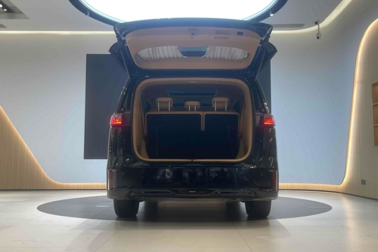 Used VOYAH Dream 2022 Low-Carbon Edition Home
