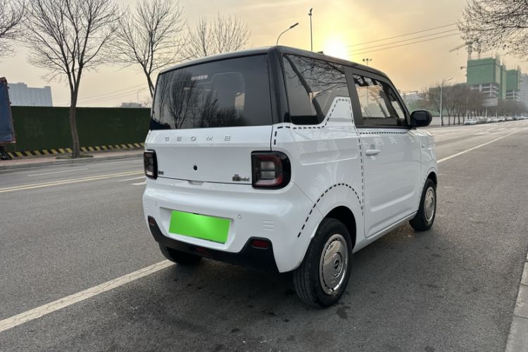 Used  Panda 2023 Panda Mini 200km Endurance Bear