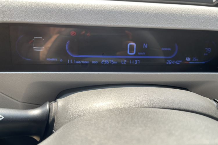 Used  Panda 2023 Panda Mini 200km Endurance Bear