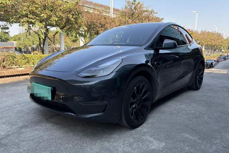 Used Tesla Model Y 2024 Long-Range All-Wheel-Drive Version