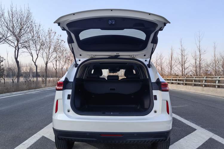 Used Haval H6 2021 3rd Generation 2.0T Automatic Two-Wheel Drive Max