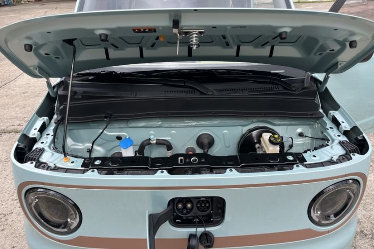 Used  Panda 2024 Panda Mini 200km Endurance Bear
