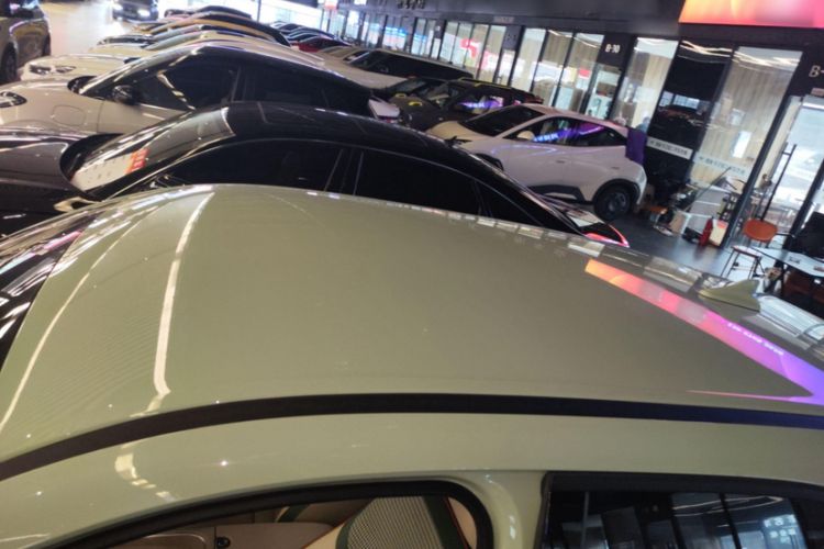 Used ORA Good Cat 2023 401 km Standard Range Luxury Version Lithium Iron Phosphate
