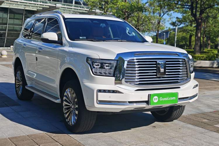 Used Tank 500 New Energy 2025 Hi4-Z
