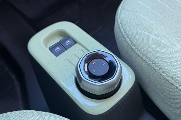 Used  Panda 2024 Panda Mini 200km Endurance Bear
