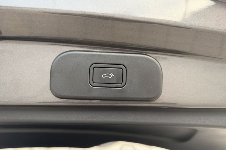 Used  Geome 2025 310km Dream Edition