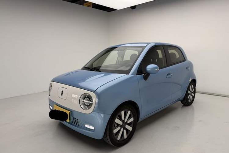 Used ORA Black Cat 2019 351 km Family Edition