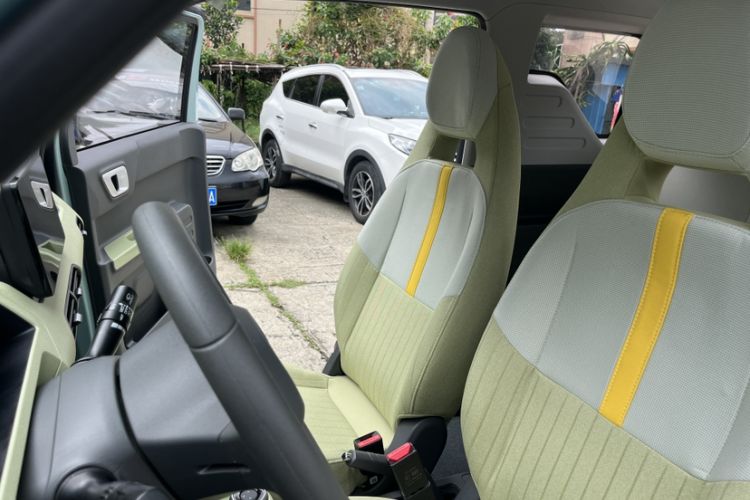 Used  Panda 2024 Panda Mini 200km Endurance Bear
